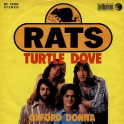 Rats : Turtle Dove - Oxford Donna